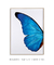 Quadro Decorativo Asa de Borboleta Azul Direita - comprar online