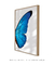 Quadro Decorativo Asa de Borboleta Azul Esquerda na internet