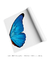 Quadro Decorativo Asa de Borboleta Azul Esquerda na internet