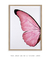 Quadro Decorativo Asa de Borboleta Rosa Direita - comprar online