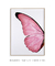 Quadro Decorativo Asa de Borboleta Rosa Direita - comprar online