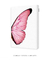 Quadro Decorativo Asa de Borboleta Rosa Esquerda na internet