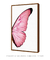 Quadro Decorativo Asa de Borboleta Rosa Esquerda na internet