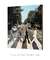 Quadro Decorativo Capa de Disco Beatles Abbey Road - loja online