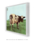 Quadro Decorativo Capa de Disco Pink Floyd Atom Heart Mother - loja online