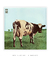 Imagem do Quadro Decorativo Capa de Disco Pink Floyd Atom Heart Mother