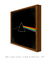 Quadro Decorativo Capa de Disco Pink Floyd Dark Side Of The Moon - comprar online