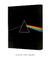 Quadro Decorativo Capa de Disco Pink Floyd Dark Side Of The Moon - comprar online