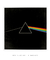 Imagem do Quadro Decorativo Capa de Disco Pink Floyd Dark Side Of The Moon
