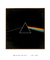 Quadro Decorativo Capa de Disco Pink Floyd Dark Side Of The Moon - Quadros Incríveis