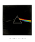 Quadro Decorativo Capa de Disco Pink Floyd Dark Side Of The Moon - loja online