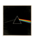 Quadro Decorativo Capa de Disco Pink Floyd Dark Side Of The Moon