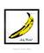 Quadro Decorativo Capa de Disco Velvet Underground - Quadros Incríveis
