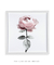 Quadro Decorativo Flor Rosa - Quadros Incríveis