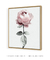 Quadro Decorativo Flor Rosa