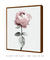 Quadro Decorativo Flor Rosa - loja online