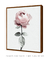 Quadro Decorativo Flor Rosa - comprar online