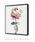 Imagem do Quadro Decorativo Flor Rosa