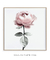 Quadro Decorativo Flor Rosa - comprar online