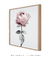 Quadro Decorativo Flor Rosa na internet