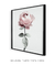 Quadro Decorativo Flor Rosa na internet