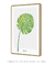 Quadro Decorativo Folha Monstera - comprar online