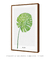 Quadro Decorativo Folha Monstera - loja online