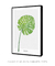 Quadro Decorativo Folha Monstera - Quadros Incríveis