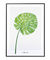 Quadro Decorativo Folha Monstera