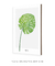 Quadro Decorativo Folha Monstera - comprar online