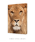 Quadro Decorativo Leão de Judá - Quadros Incríveis