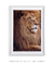 Quadro Decorativo Leão Étnico Safari Fotografia - Quadros Incríveis