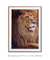 Quadro Decorativo Leão Étnico Safari Fotografia - Quadros Incríveis