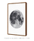 Quadro Decorativo Lua Fundo Branco na internet