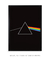 Quadro Decorativo Pink Floyd Dark Side - Quadros Incríveis