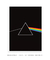 Imagem do Quadro Decorativo Pink Floyd Dark Side