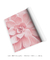 Quadro Decorativo Suculenta Rosa na internet