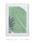 Quadro Decorativo Tropical Folhagem 2 - Quadros Incríveis
