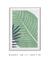 Quadro Decorativo Tropical Folhagem 2 - comprar online