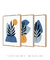 Quadros Decorativos Abstratos Azuis Formas Orgânicas - Composição com 3 Quadros - comprar online