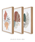 Imagem do Quadros Decorativos Abstratos Plantas Folhagens - Composição com 3 Quadros