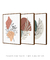Quadros Decorativos Abstratos Plantas Folhagens - Composição com 3 Quadros na internet