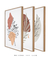 Quadros Decorativos Abstratos Plantas Folhagens - Composição com 3 Quadros - comprar online