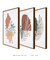 Quadros Decorativos Abstratos Plantas Folhagens - Composição com 3 Quadros - Quadros Incríveis