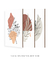 Quadros Decorativos Abstratos Plantas Folhagens - Composição com 3 Quadros - comprar online
