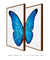 Quadros Decorativos Asas de Borboleta Azul - Composição com 2 Quadros - loja online