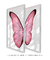 Quadros Decorativos Asas de Borboleta Rosa - Composição com 2 Quadros