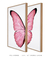 Quadros Decorativos Asas de Borboleta Rosa - Composição com 2 Quadros - comprar online