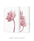Imagem do Quadros Decorativos Flor de Lótus - Composição com 2 Quadros