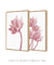 Quadros Decorativos Flor de Lótus - Composição com 2 Quadros - comprar online